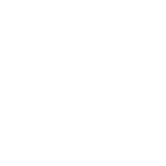 precision (1)
